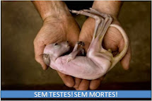 RESPEITO AOS ANIMAIS! CHEGA DE CRUELDADE! VIDA DIGNA!