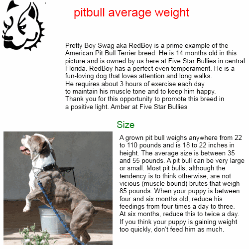 Average Pitbull Weight Chart