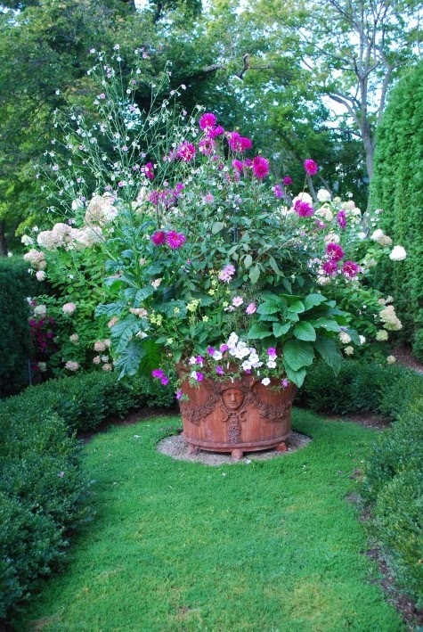 Container Gardens