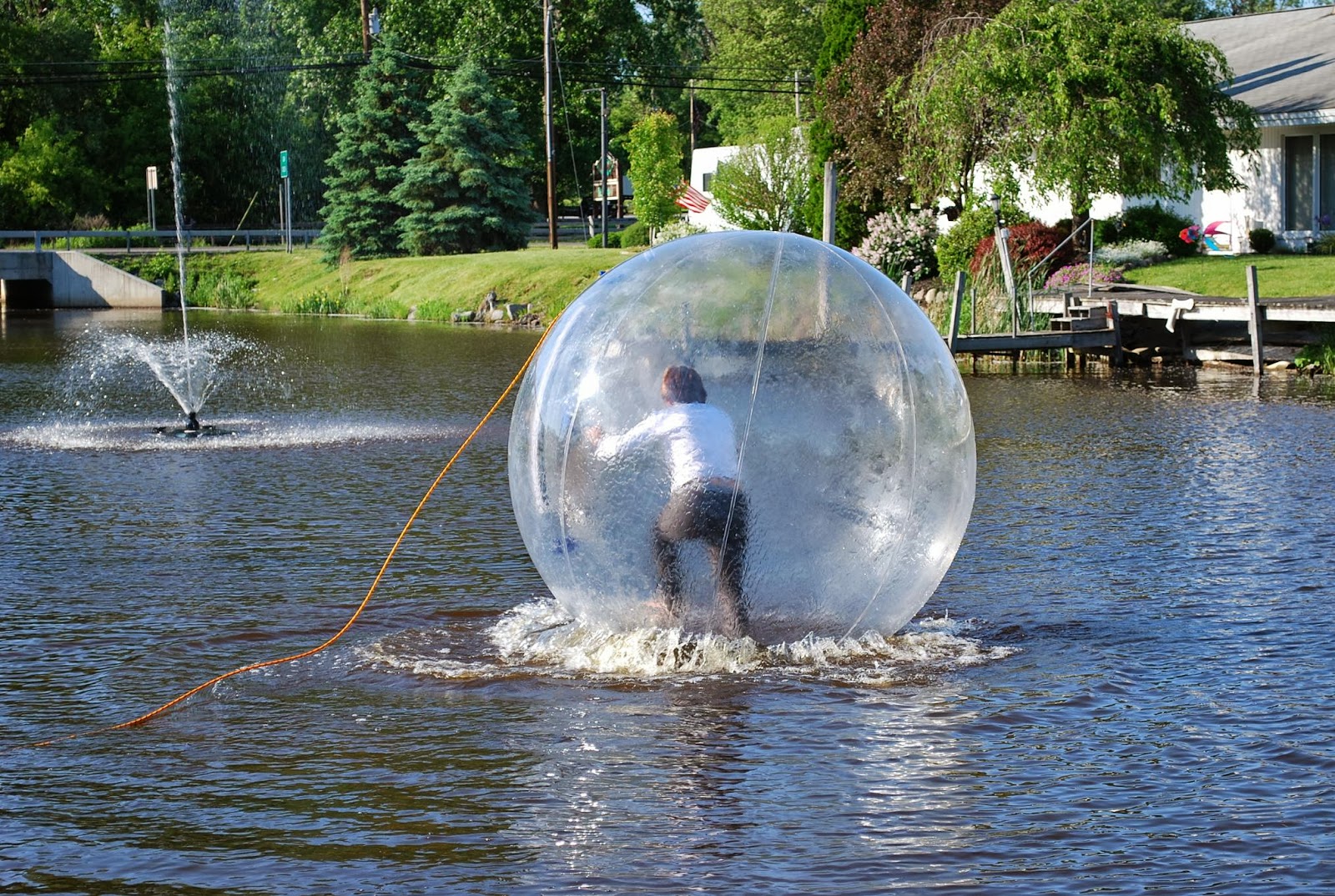 HD Wallpapers Desktop Human Hamster Balls Wallpapers