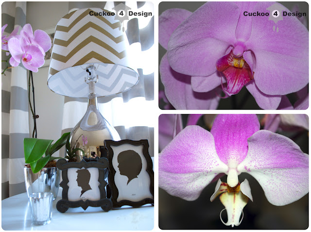 silhouettes and orchids silhouettes and orchids
