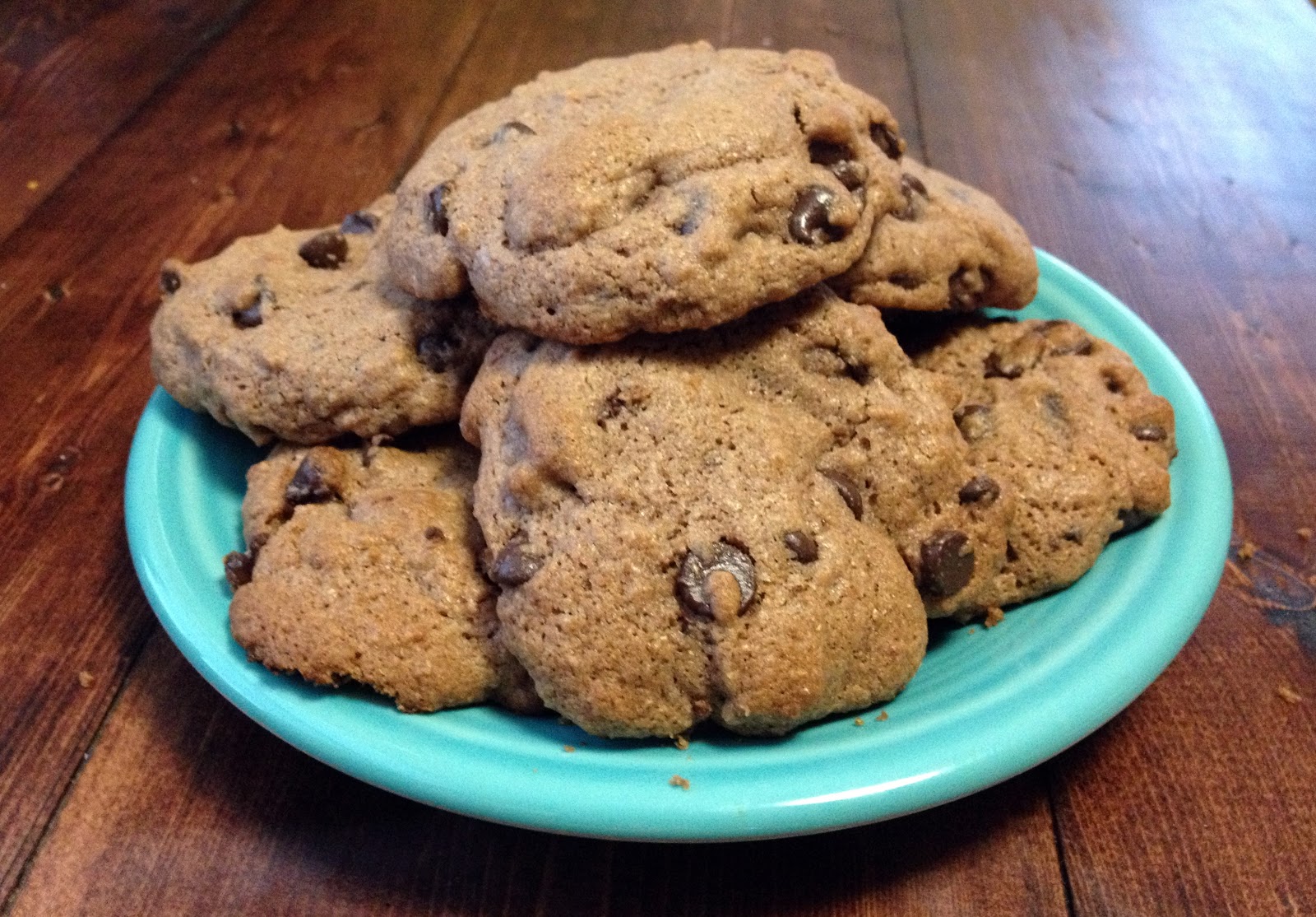 The Modern DIY Life Hot Cocoa Chocolate Chip Cookies