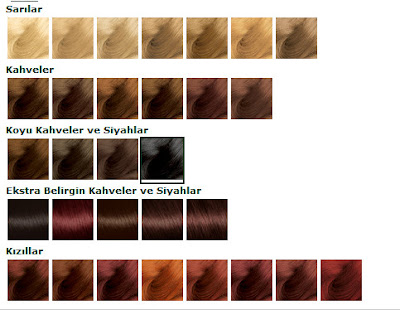 2012 Garnier Saç Boyası Renkleri Kataloğu (Color Naturals) 2012 Garnier Saç Boyası Renkleri Kataloğu (Color Naturals)