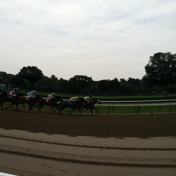 2012 Travers Special Songs About Gambling On Horses Rock The Body Electric