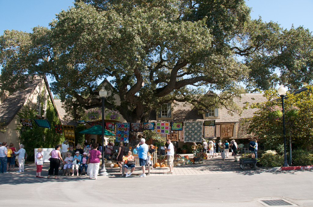 paradis express Alden Lane Nursery