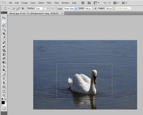 things you may not know in photoshop designeasy