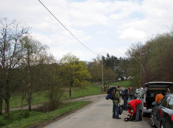 Wildbeobachtung Mit Hermelinen Und Feuersalamandern Im Taunus