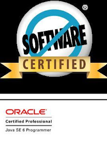 Salesforce.com Certified Force.com Developer