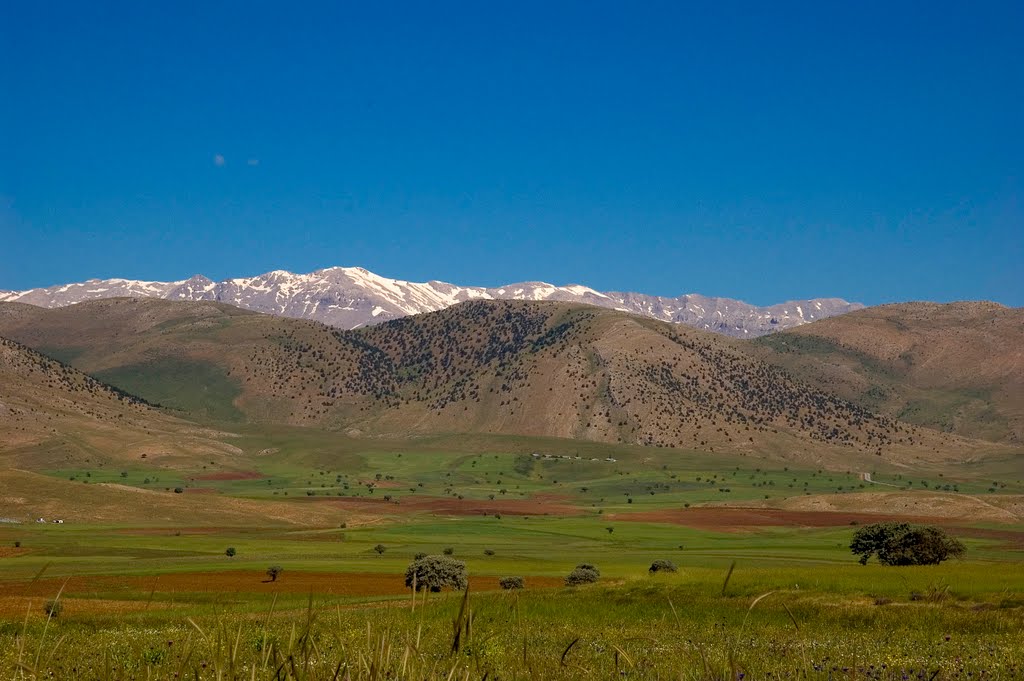 Nerede Ne Gezilir Binboga Daglari