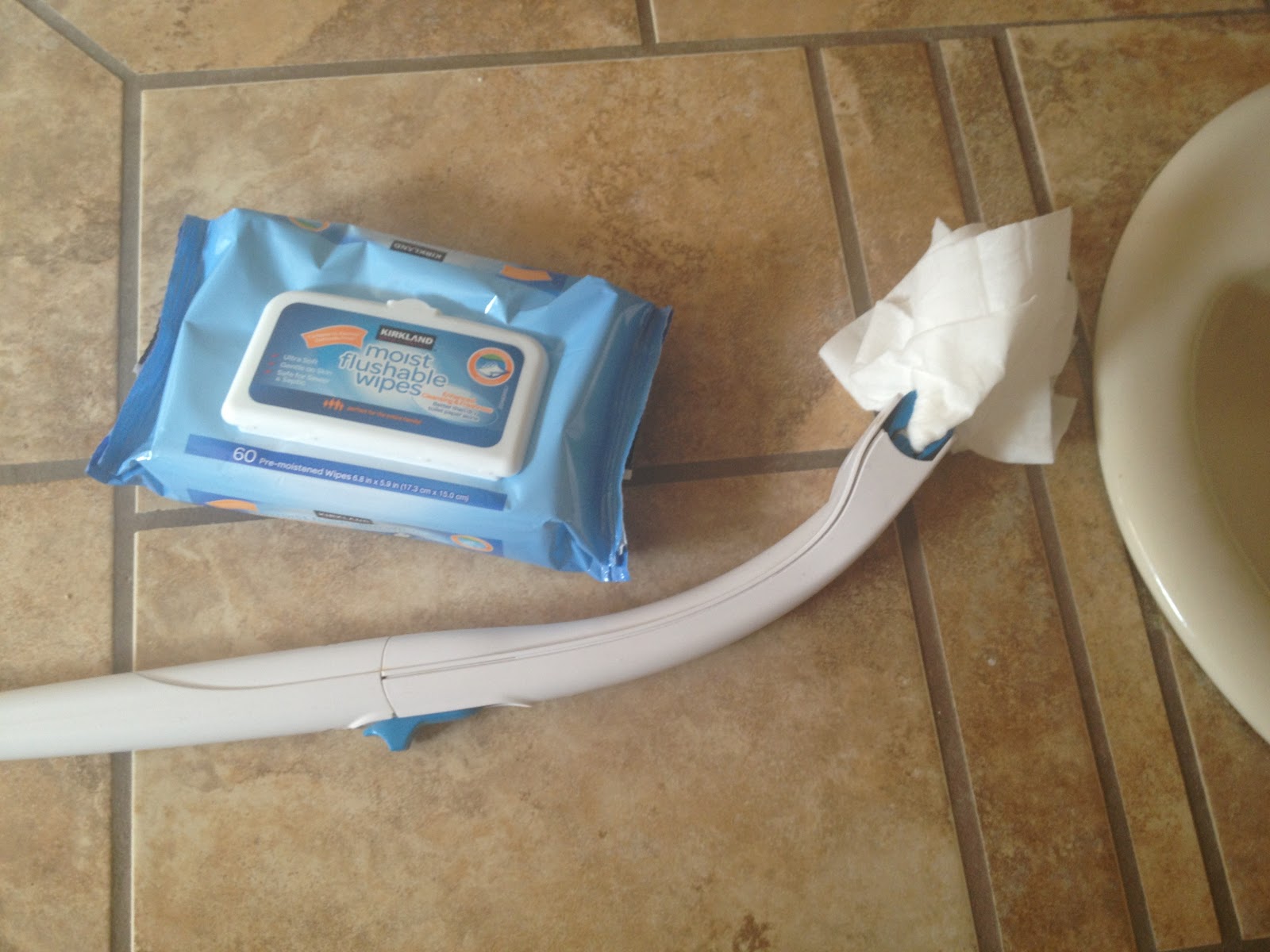 Not Too Fancy Flushable wipes as Toilet cleaner