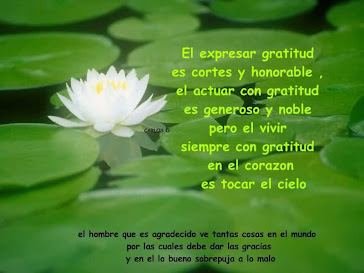 Gratitud