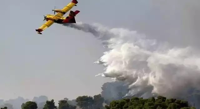 Καπανδρίτι: Μάχη με τις φλόγες, ανησυχία για τις συνεχείς αναζωπυρώσεις Καπανδρίτι: Μάχη με τις φλόγες, ανησυχία για τις συνεχείς αναζωπυρώσεις