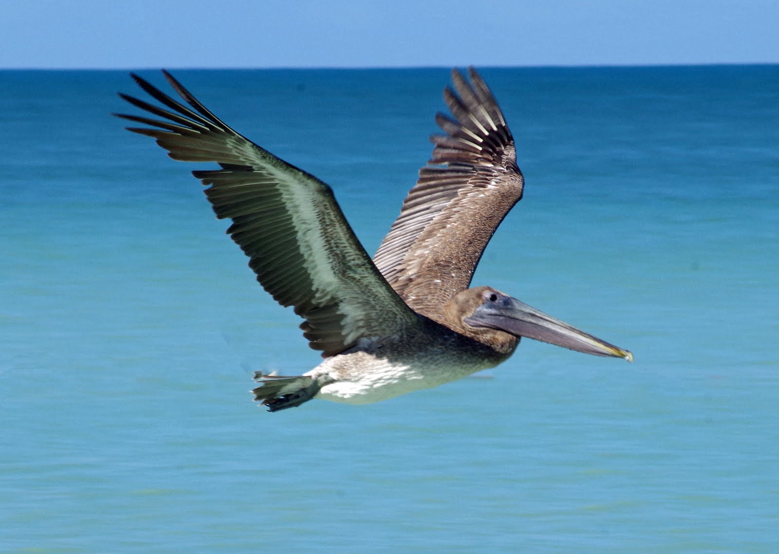 Cabo Rojo