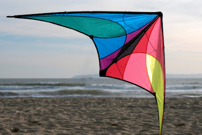 Kites Makar Sankranti