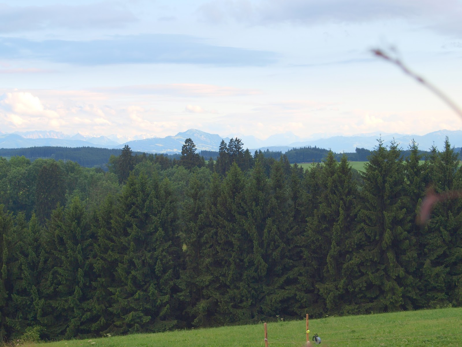 Stephanie Beil Stephaniebeil Auf Pinterest