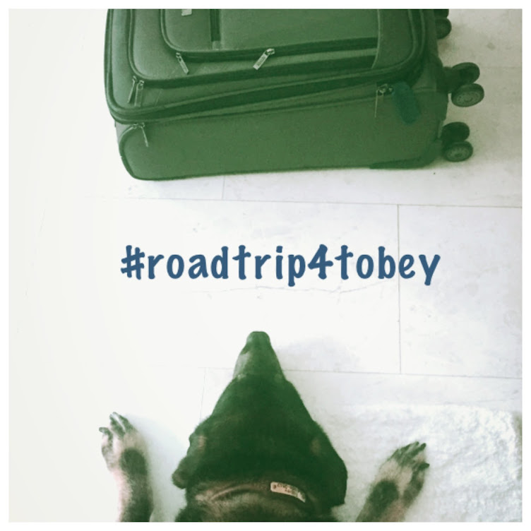 #RoadTrip4Tobey