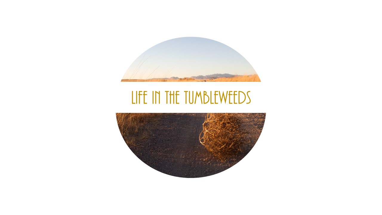 Life in the Tumbleweeds