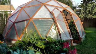 Backyard Greenhouse Diy - DIY Choices
