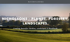 The Nicholsons Website