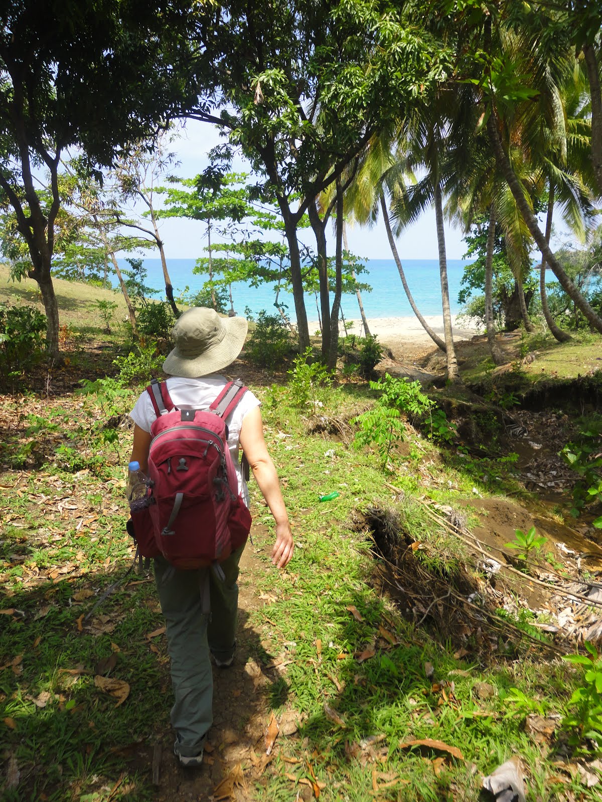 Tim White Listens The beaches of Anse d'Hainault