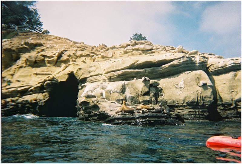 La Jolla Sea Caves Kayak Tour Groupon La Jolla Sea Caves Kayak Tour Groupon
