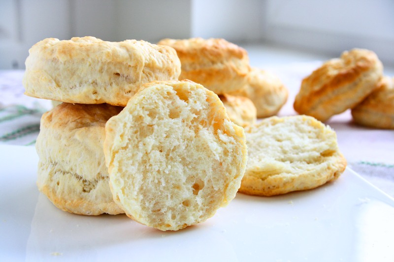 collecting memories Plain Scones