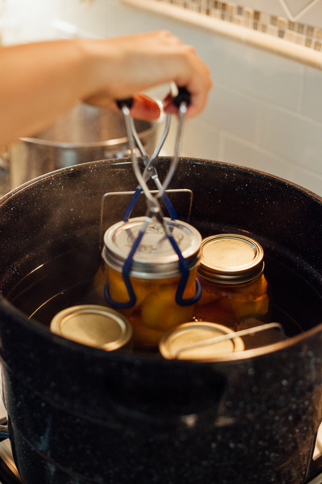 GOLDMINE JOURNAL Eating In // Canned Peaches