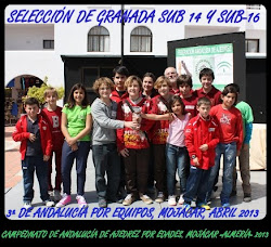 SELECCIÓN DE GRANADA