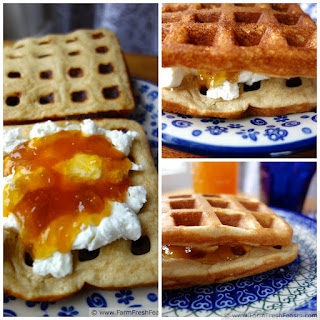 http://www.farmfreshfeasts.com/2013/05/sweet-or-savory-yeasted-waffle.html