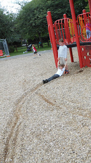 woodchips soft landing in playpark recreation area