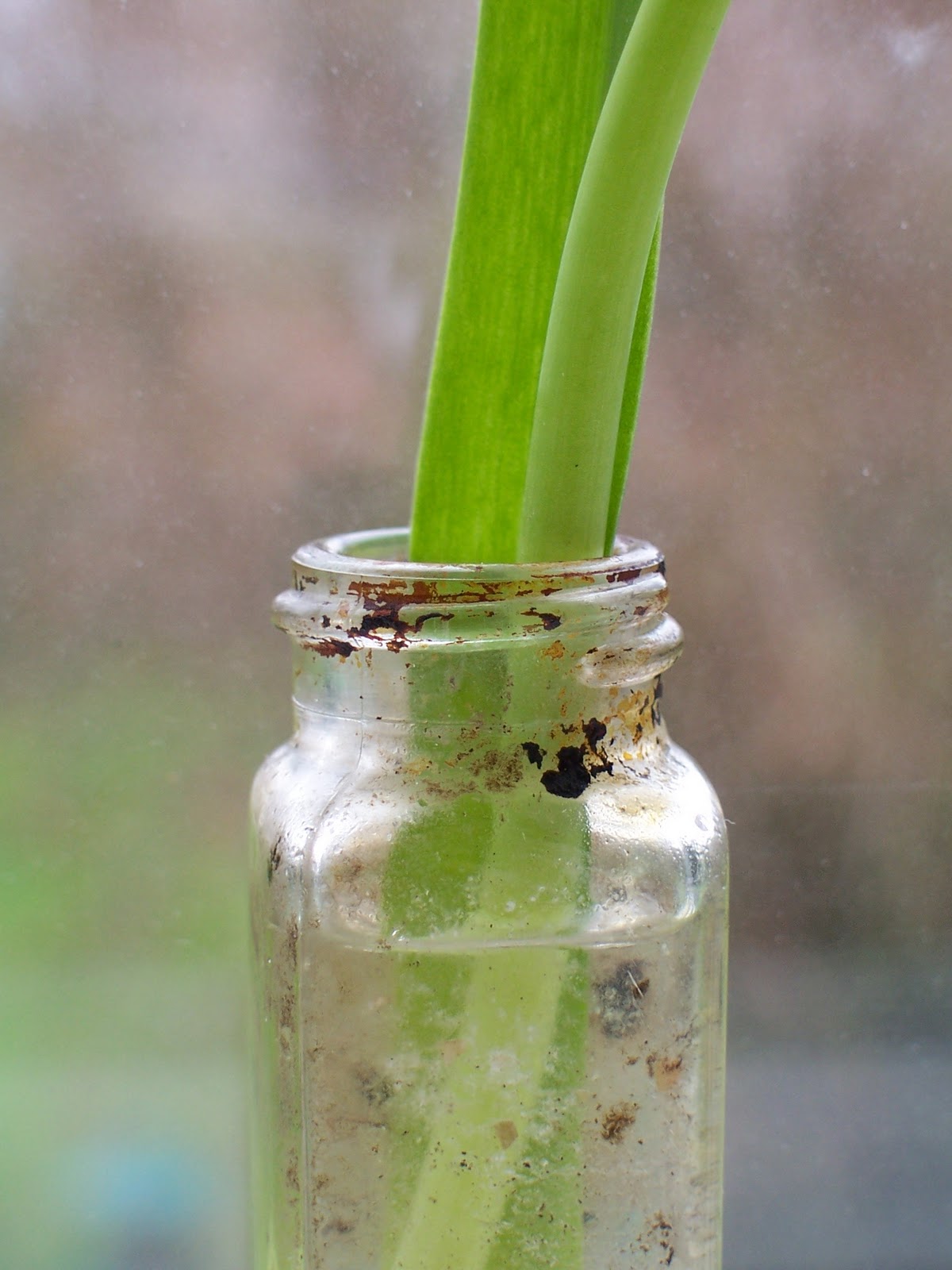 twentytwo pleasant how to clean a dirty bottle