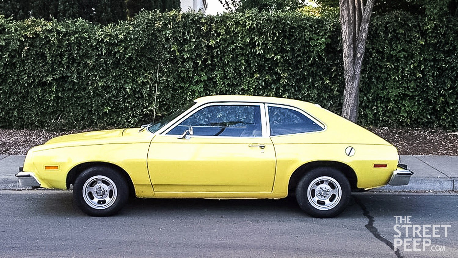 The Street Peep Submission Drive By Series