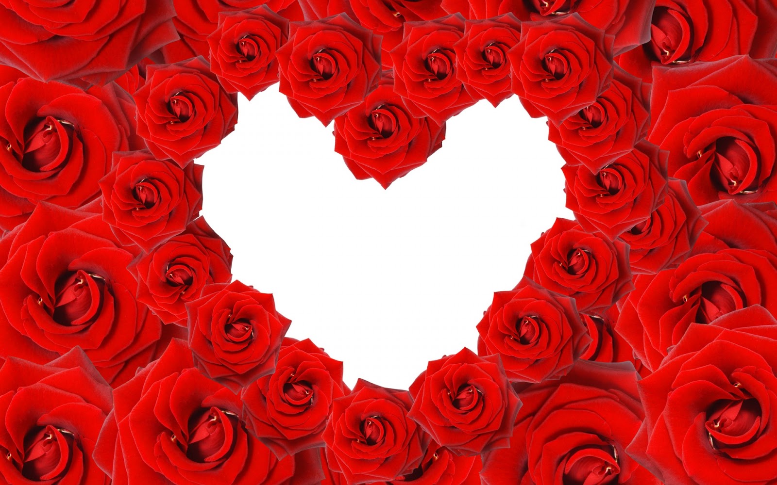 Red Roses Love Heart 1920x1080 Wallpaper