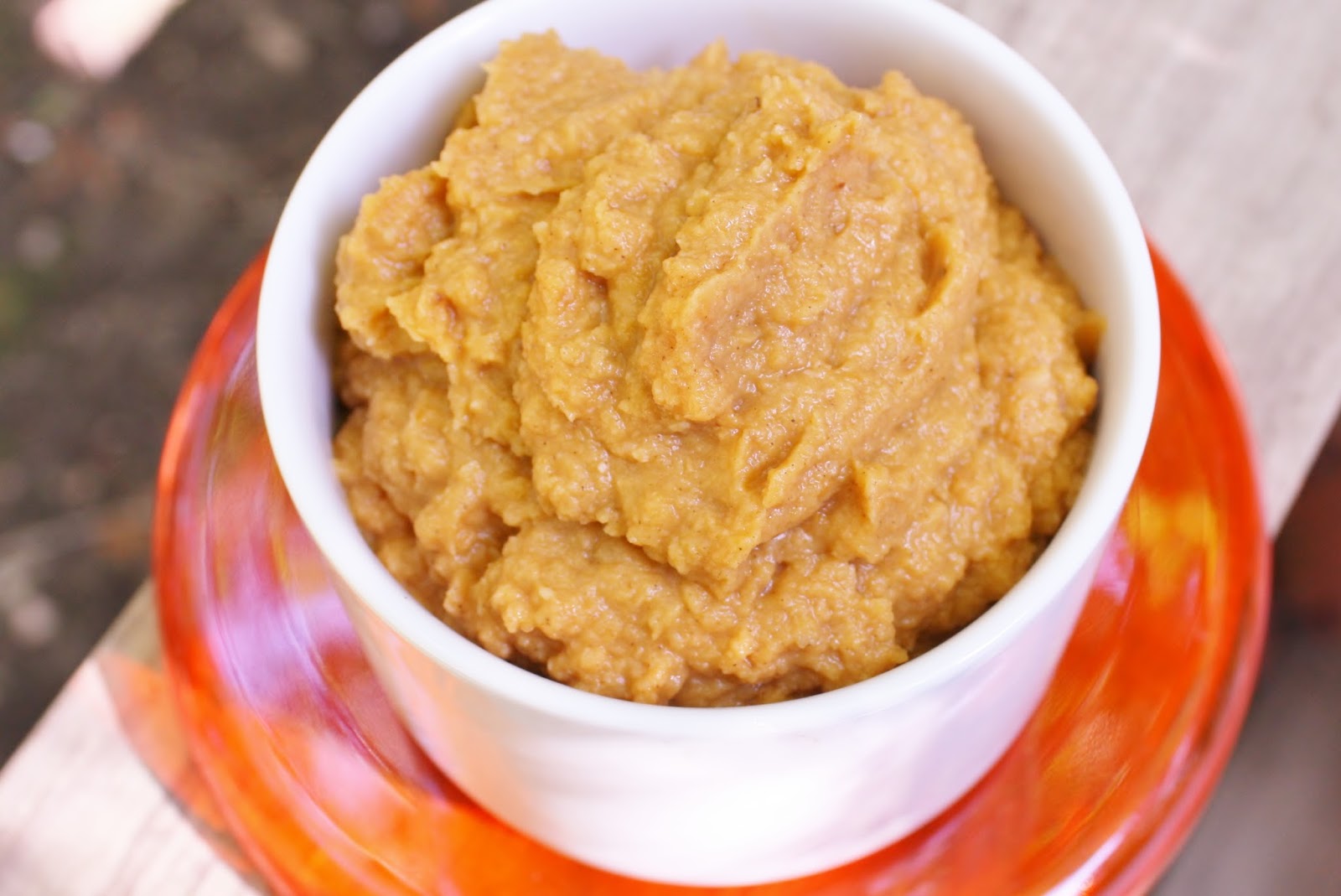 Best of Long Island and Central Florida White Bean Pumpkin Hummus