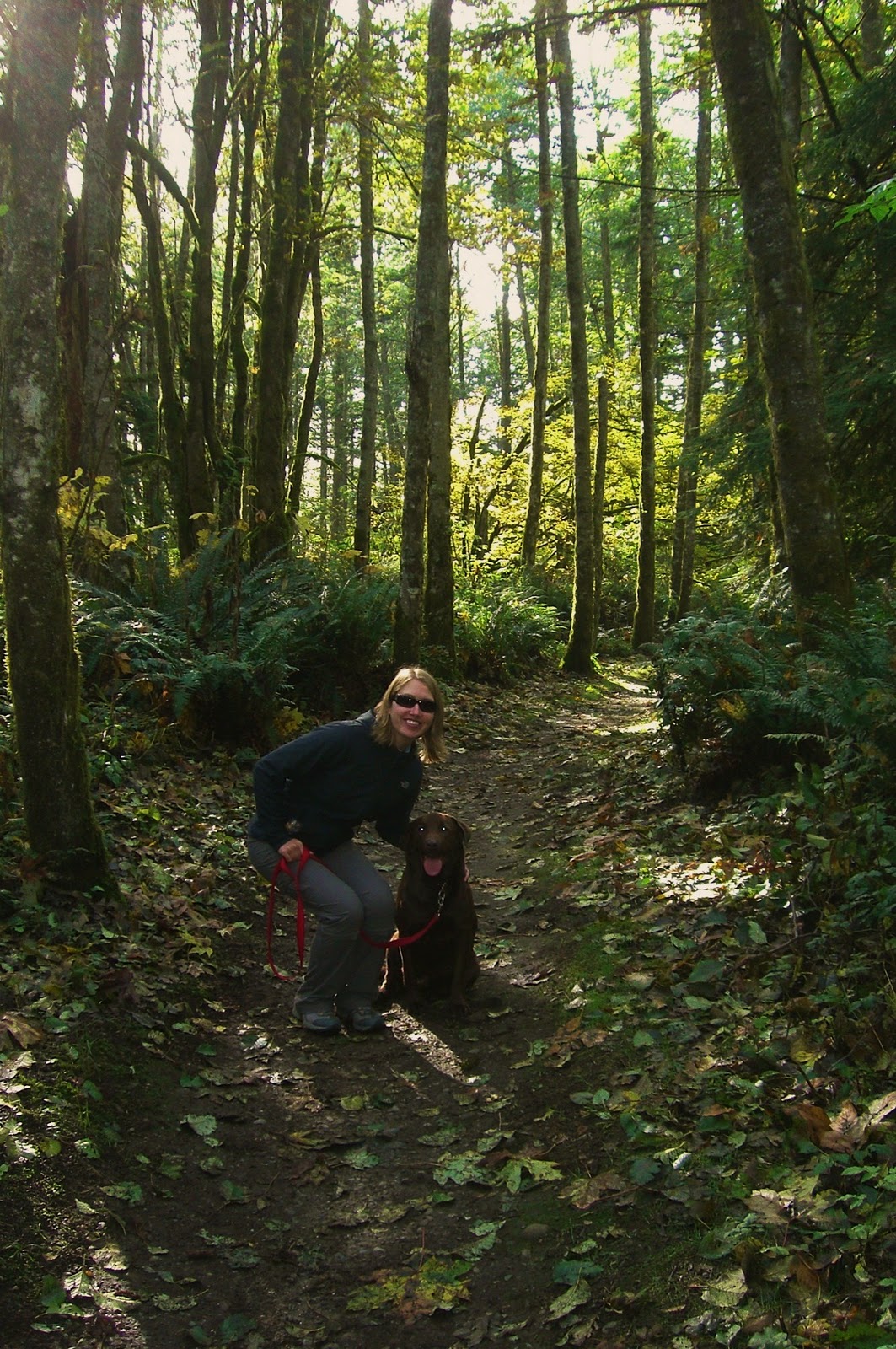 Around Puget Sound and Beyond Hiking Cougar Mountain Issaquah, WA