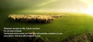 life inspiration quotes: May 2012