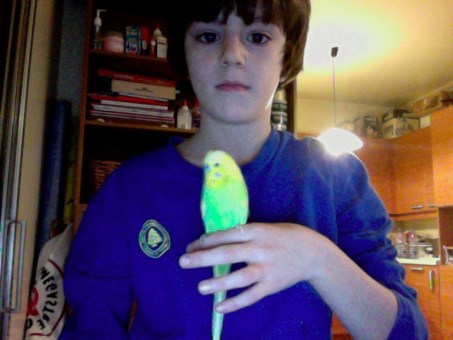 Johnny S Life How To Train A Bird