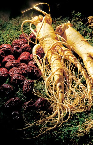 ginseng korea manfaat dan jenis jenisnya pujangga cinta ginseng korea manfaat dan jenis jenisnya pujangga cinta