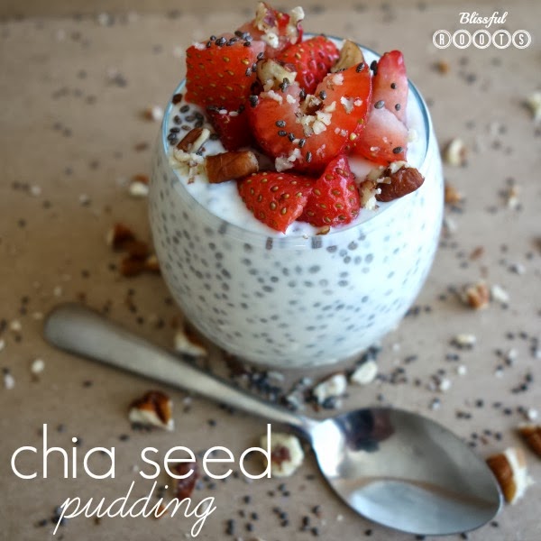 Chia Seed Pudding And Diverticulitis at Victoria Spurlock blog