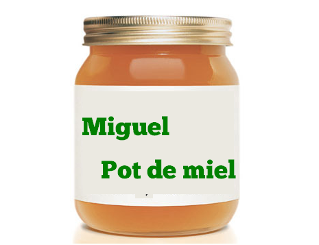 Miguel, le pot de miel