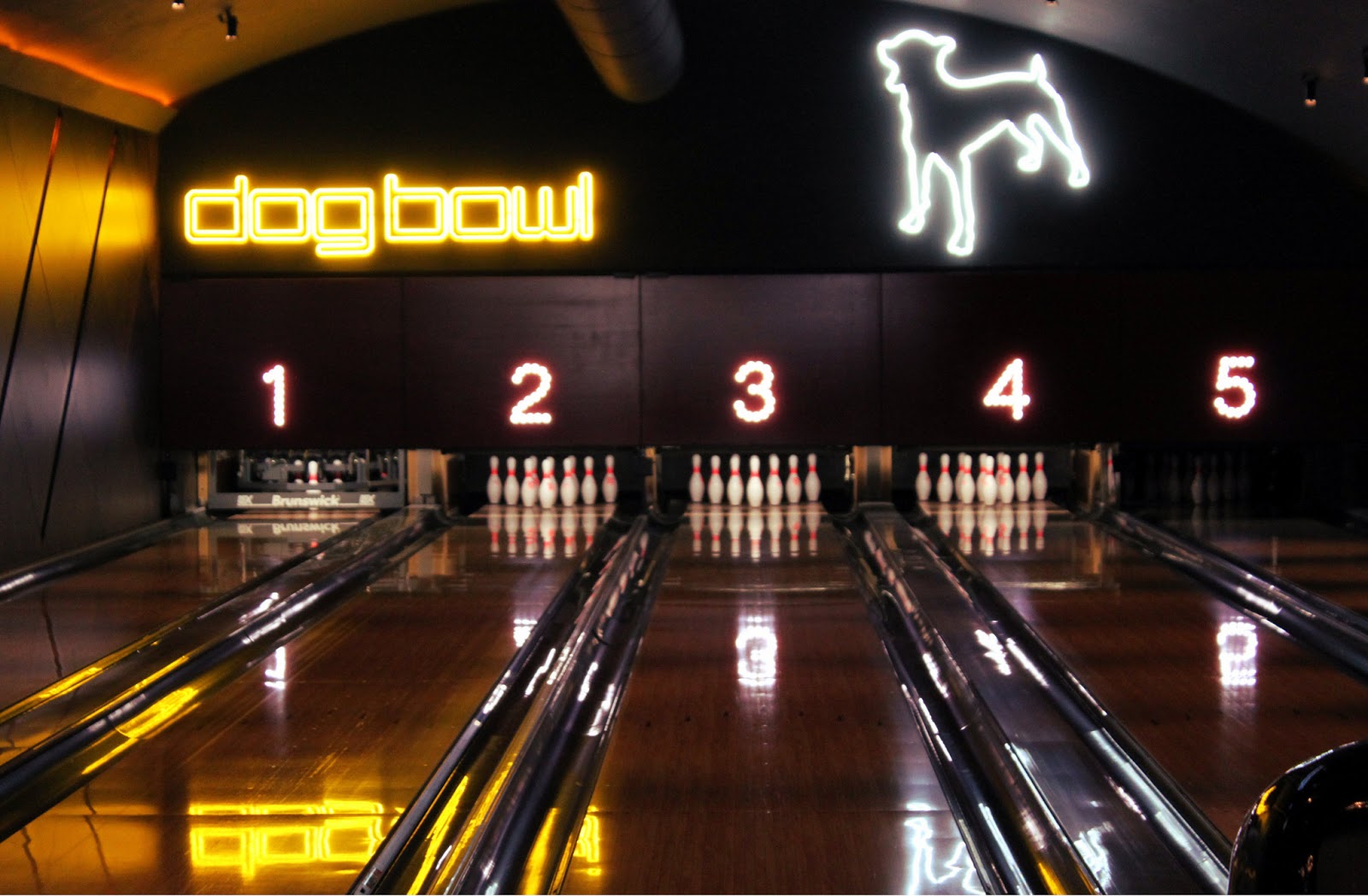 Clear Your Heart Dog Bowl, Manchester