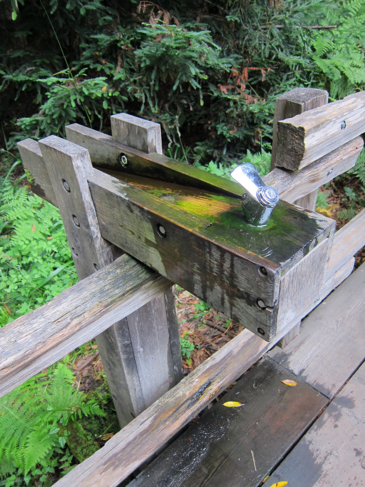 Drinking Fountains Muir Woods Wood Fountain