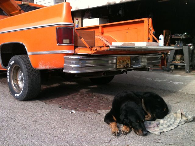 A Girl, her dog, and a 1975 Chevy