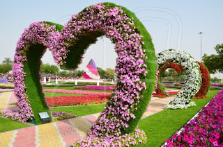 بالصور حديقة العين بارادايس 2424 سلة ورد معلقة من أجمل حدائق