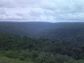 Floresta Nacional de Carajás (PA)