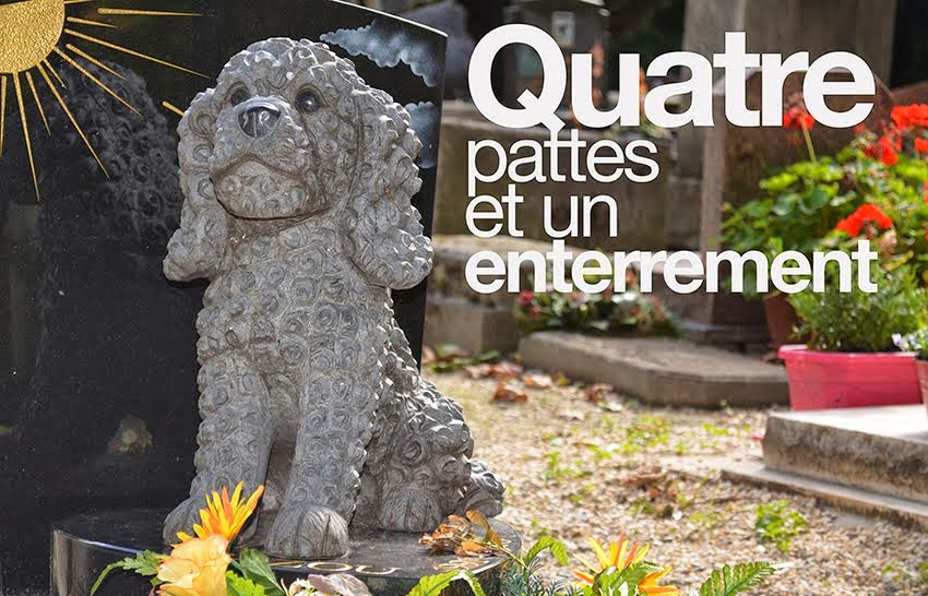 Quatre pattes et un enterrement 