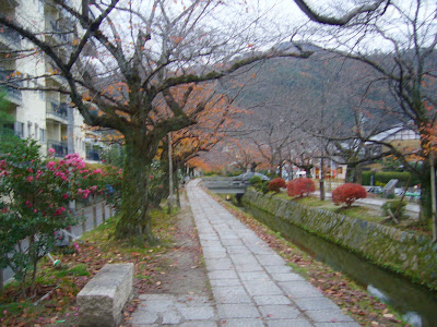 京都市左京区・哲学の道の紅葉