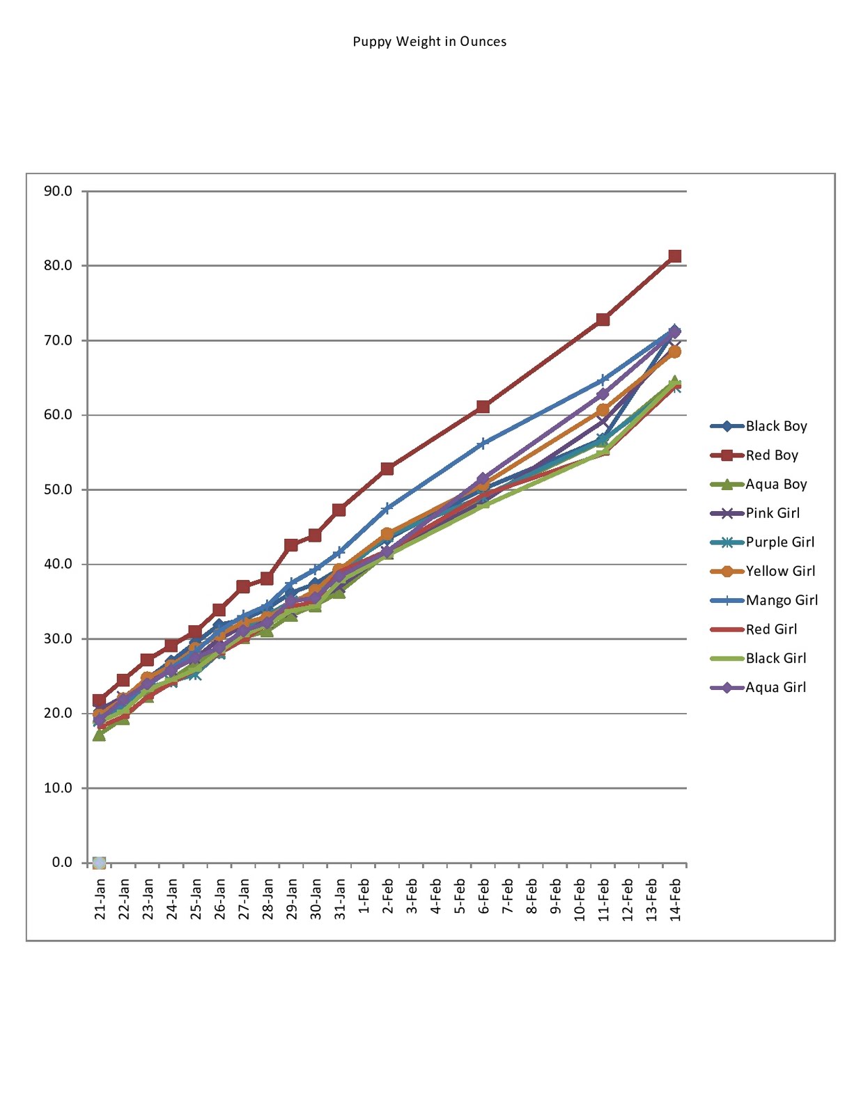 Goldendoodle Weight Chart