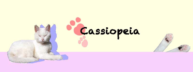 CASSIOPEIA