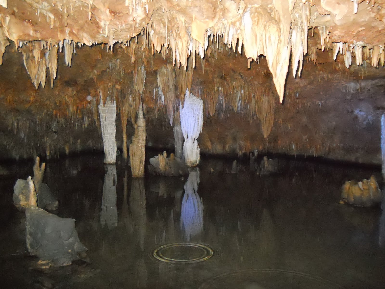 THE BARNHART FAMILY MERAMEC CAVERNS STANTON, MO